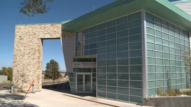 Center for Integrated Nanotech